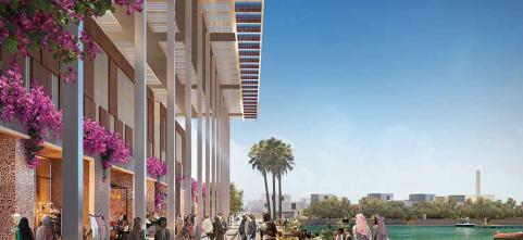 Ras Hayan Village Plots